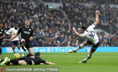 <b>英超-凯恩、阿里破门热刺2-1逆转取胜布莱顿</b>