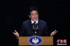 安倍谈中东局势：会通过外交努力促进地区缓和