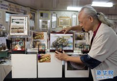 台湾艺术家微雕黄金小老鼠迎鼠年