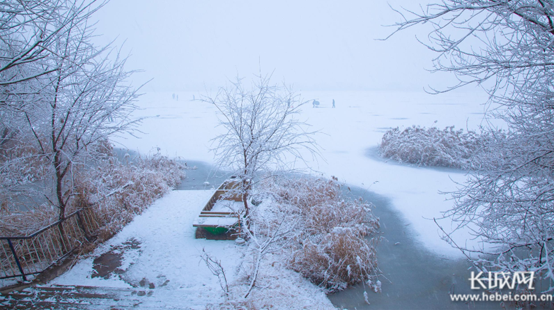 【生态文明@湿地】淡装素颜 衡水湖雪景美如水墨画