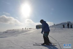 不少人都来葡京赌博官网这学习滑雪