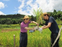 国家奖里的农产品安全技术有力葡京赌博网址提升了从生产到餐桌全过程的消费