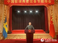 中国驻瑞典使馆举办2020新春招待会